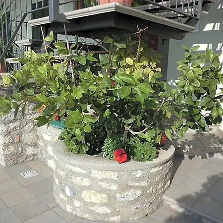 Hotel Gallo